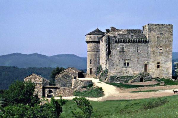 Gites En Cevennes "Chez Steloune" Genolhac Exterior photo